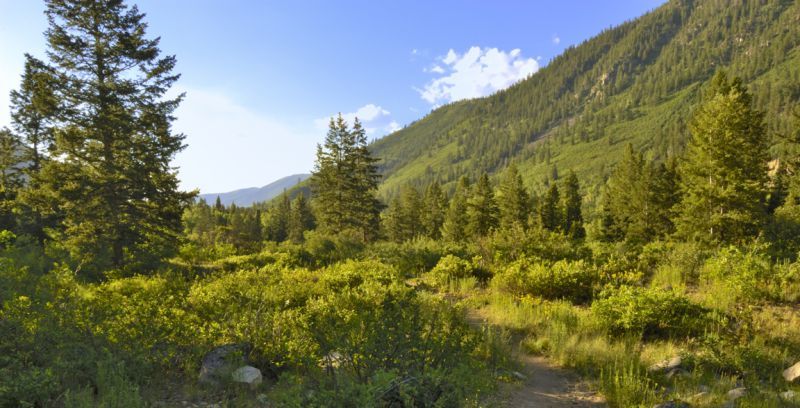 Cathedral Lake Trail