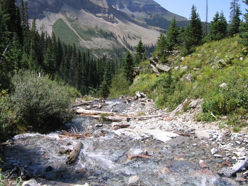 Lake Hope Trail Creek Crossing Telluride CO