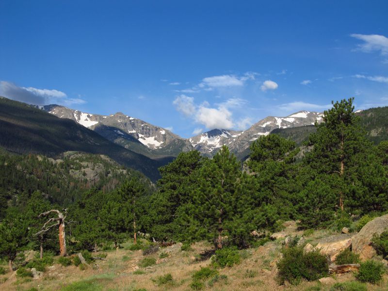 View from Moraine Park towards the Rocky Mountains