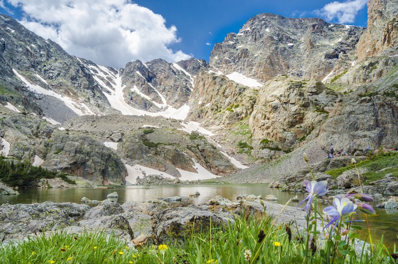 Sky Pond and Taylor Glacier with wildflowers in the foreground