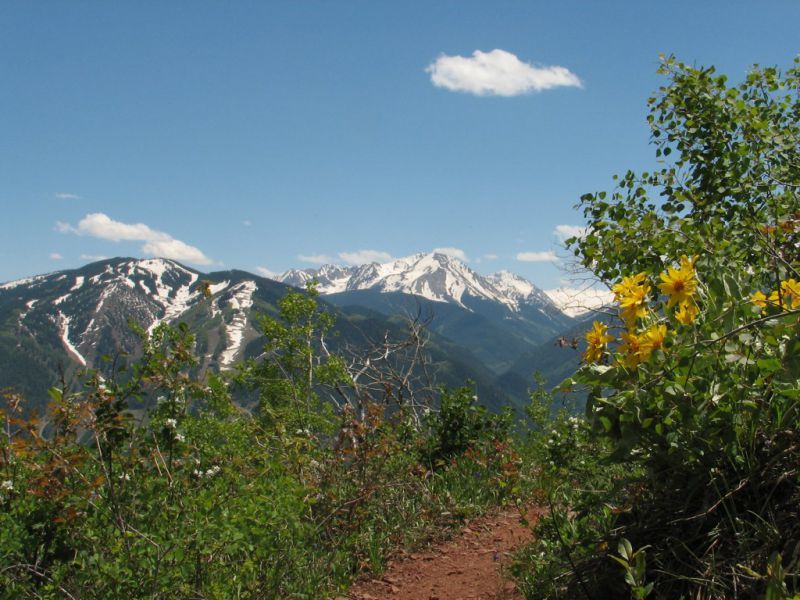 Top of Sunnyside Trail