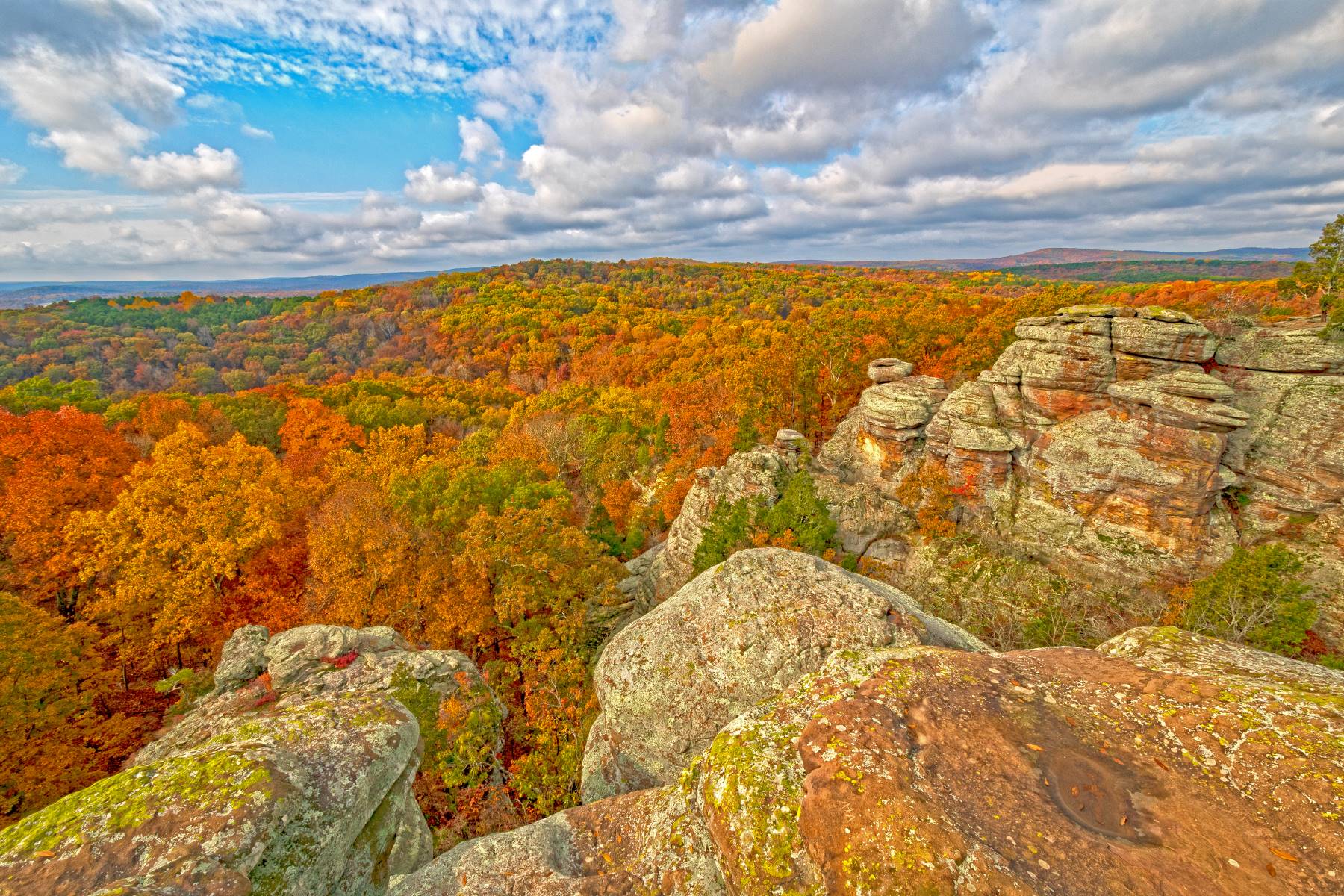 Overlooking the colorful trees during Fall while in Shawnee National Forest