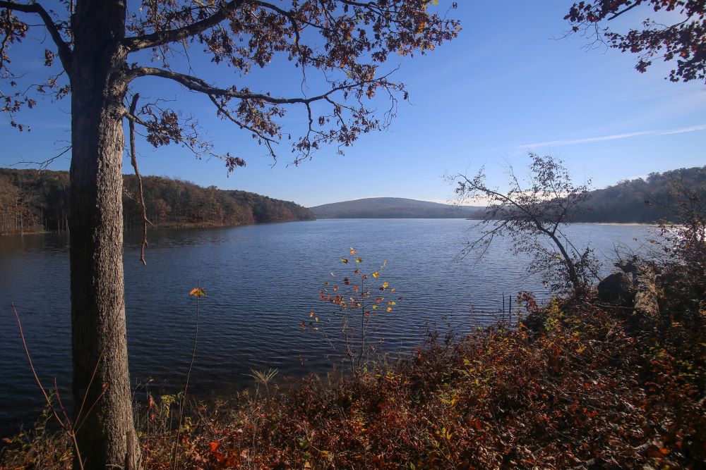 Council Bluff Lake Trail