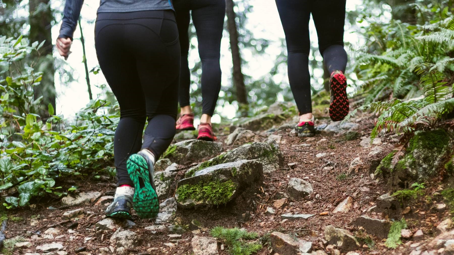 Three people walking through the woods in their trails shoes on a day hike