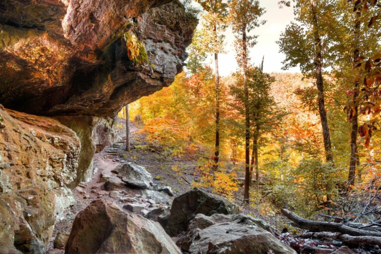 7 Best Hikes in the Ozarks: Exploring the Heart of America