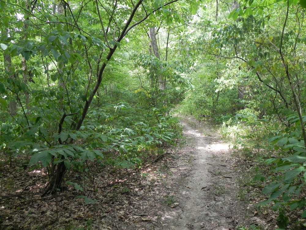 Fox Run Trail in Missouri