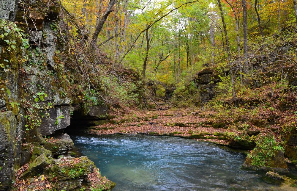 Greer Spring Trail in MTNF