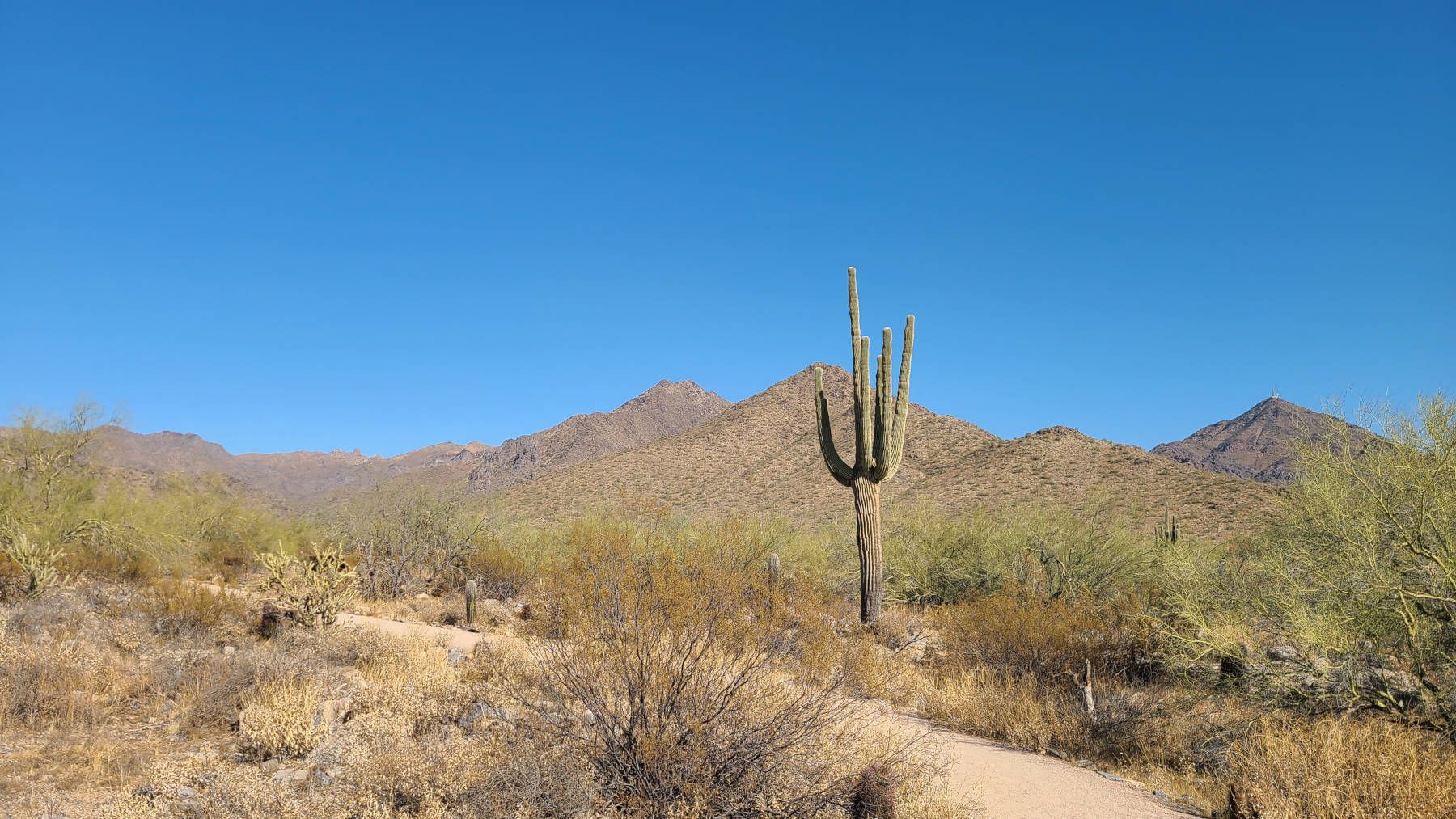 Hiking near Phoenix, AZ with no shade