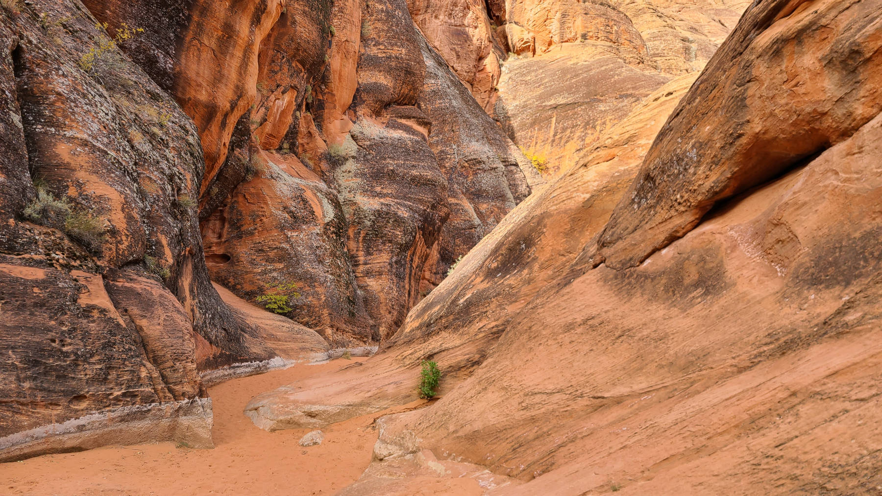 Don't forget your hydration when hiking through Utah's red rock canyons