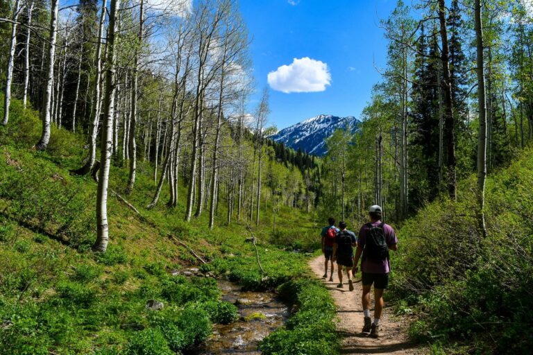 Is Hiking Good for Weight Loss: Learn What Walking 3 Miles a Day Can Do