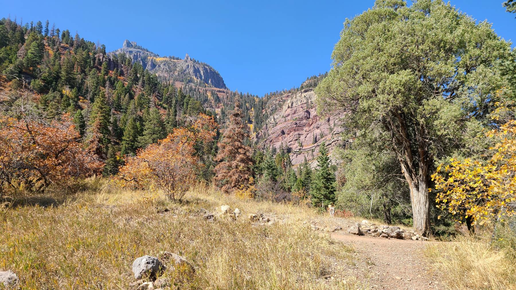 Hiking uphill near Ouray Colorado