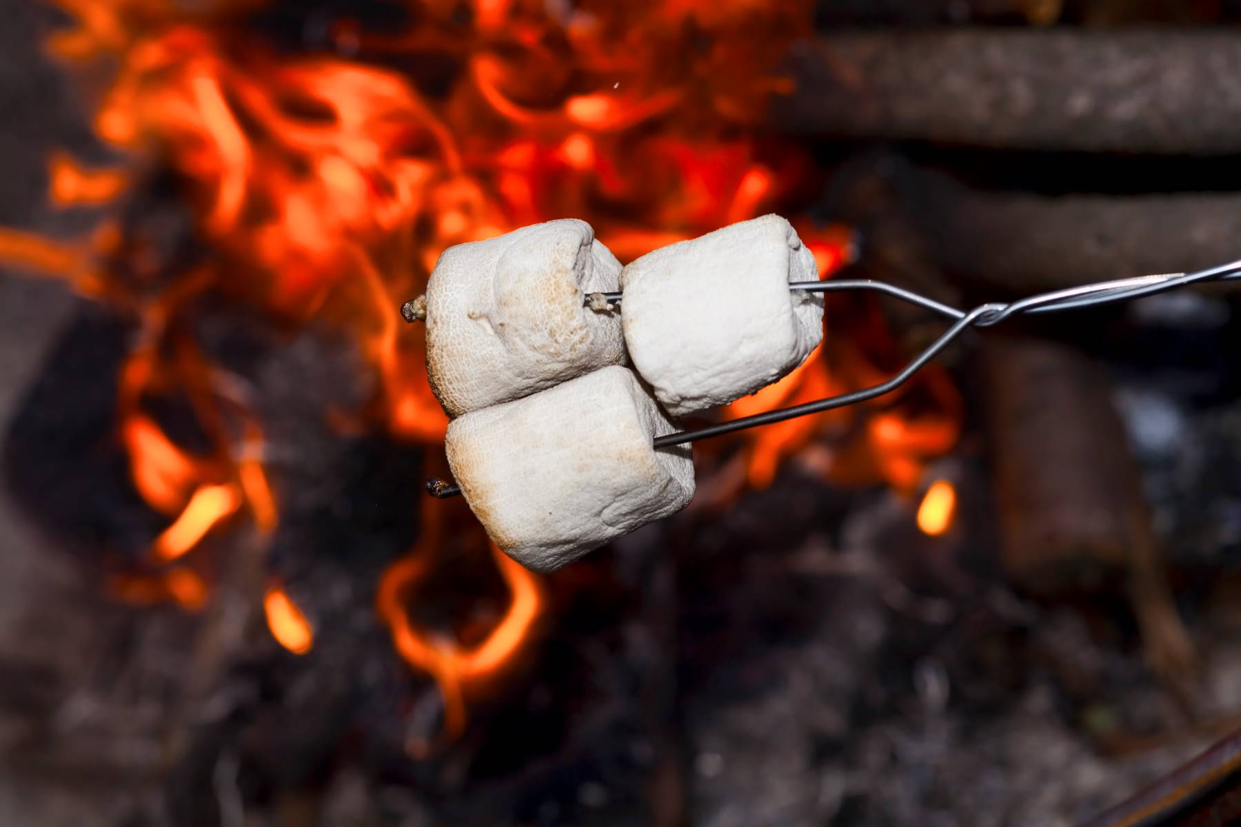 Marshmallows roasting over an open fire while camping
