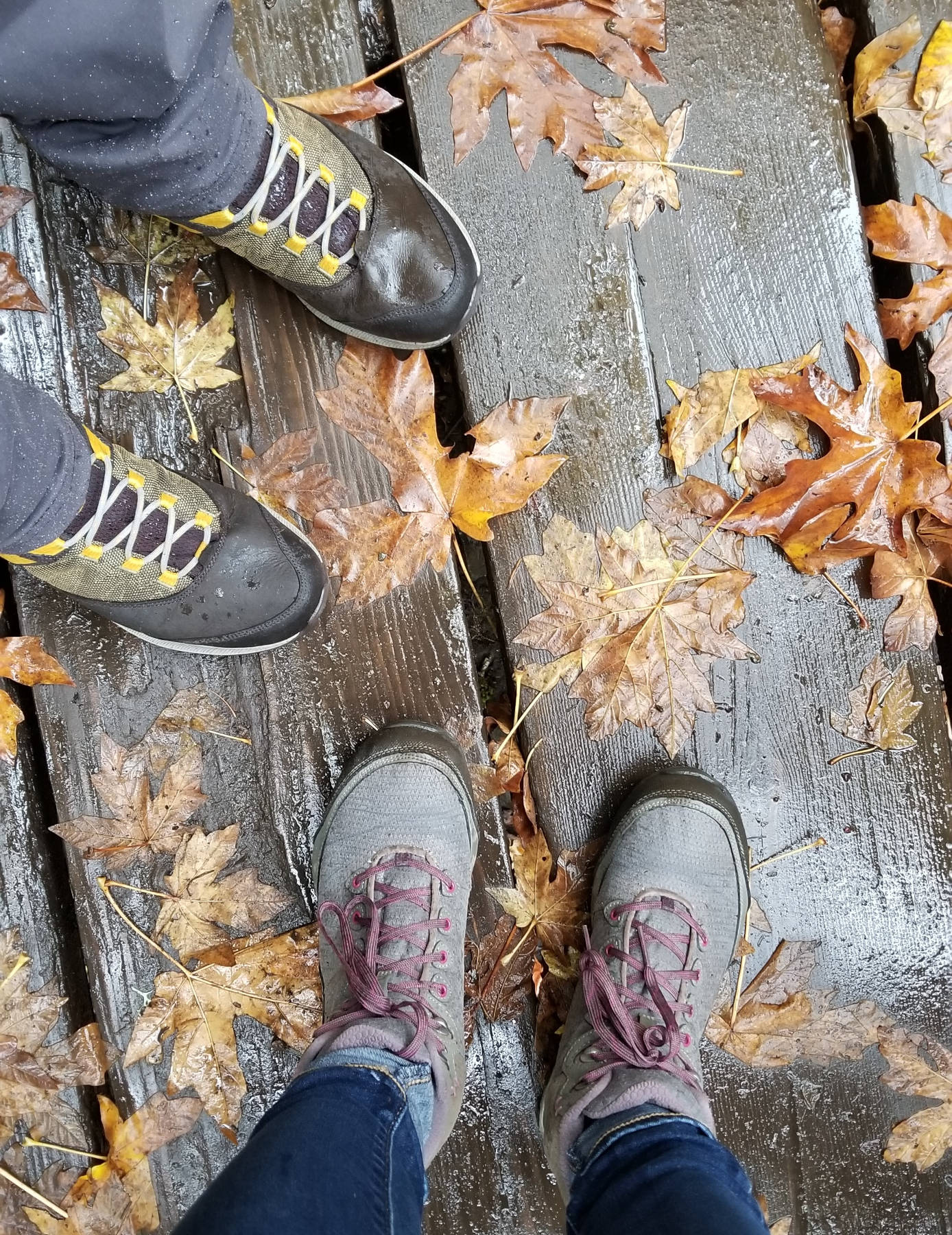 Andrew and Ashley's wet hiking boots with fall colored leaves