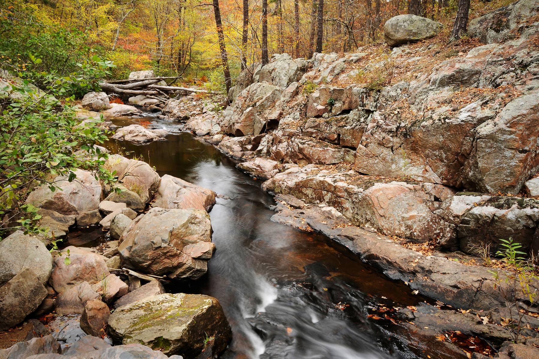 Pickle springs in Hawn State Park offers peaceful Missouri hiking