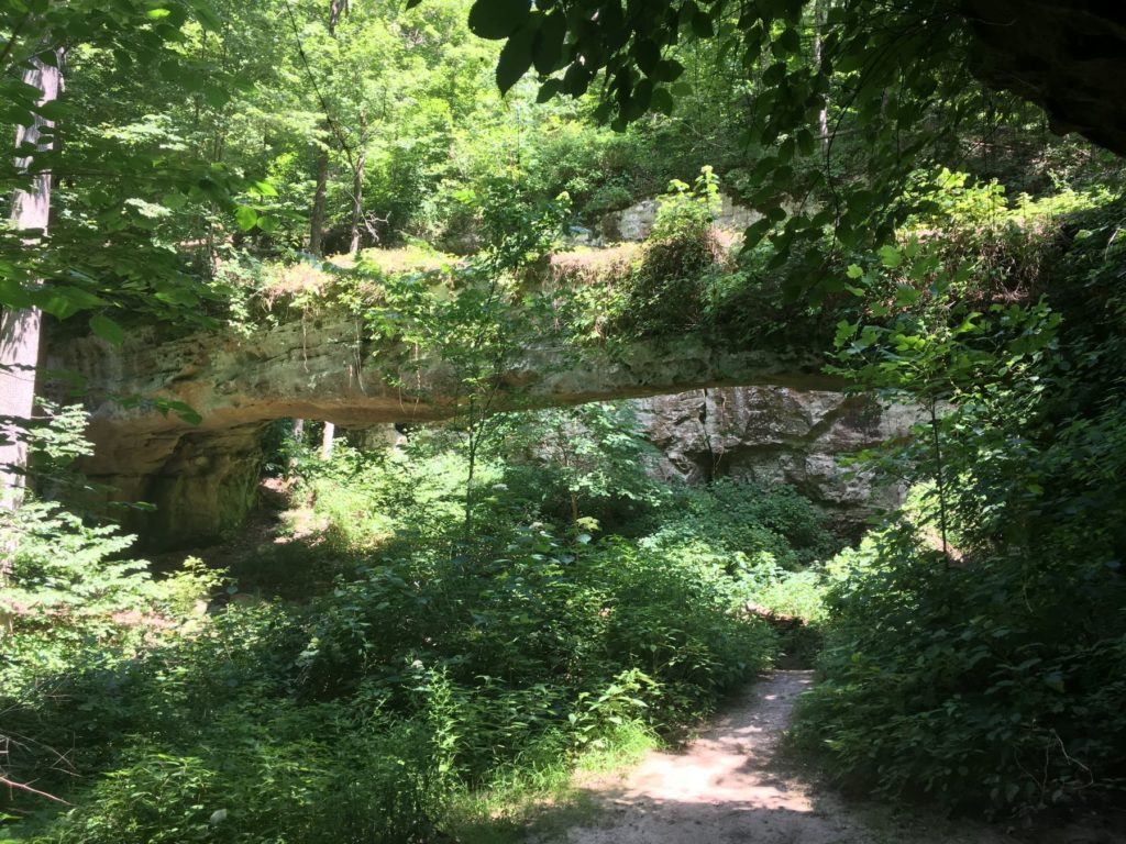 Pomona Natural Bridge