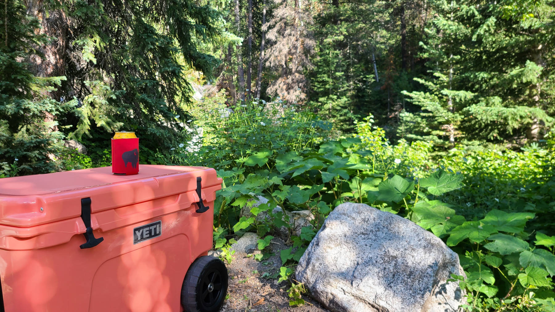 Using our YETI to keep food cold at our campsite - Hello Trail