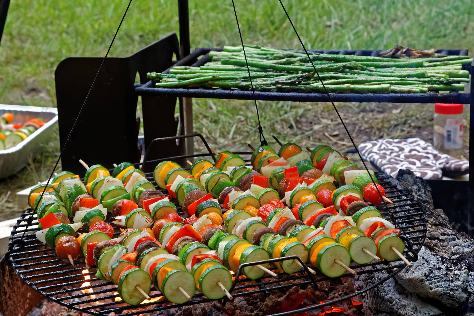 Vegetable kabobs and asparagus on camping grill - HelloTrail
